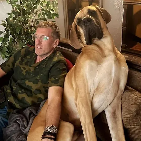 Сasa de vacaciones Unique Tiny Smart With Private Garden, Jacuzzi, Ps5, Cinema Projector - Wow *